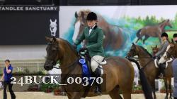 24BUCK_00370 thumbnail