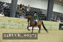 24BUCK_00373 thumbnail