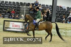 24BUCK_00374 thumbnail