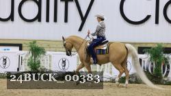 24BUCK_00383 thumbnail