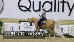 24BUCK_00385 thumbnail
