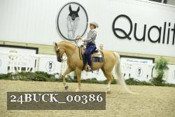 24BUCK_00386 thumbnail
