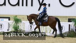 24BUCK_00387 thumbnail