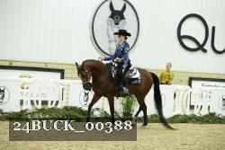 24BUCK_00388 thumbnail