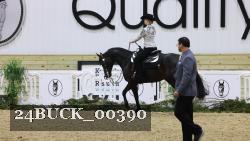 24BUCK_00390 thumbnail