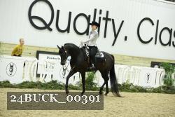 24BUCK_00391 thumbnail
