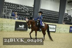 24BUCK_00409 thumbnail