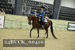 24BUCK_00410 thumbnail