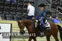 24BUCK_00413 thumbnail