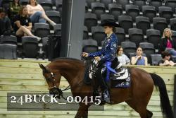 24BUCK_00415 thumbnail