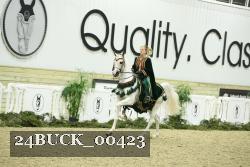 24BUCK_00423 thumbnail