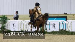 24BUCK_00434 thumbnail
