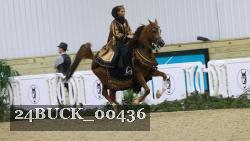 24BUCK_00436 thumbnail