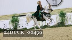 24BUCK_00439 thumbnail