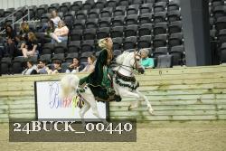 24BUCK_00440 thumbnail