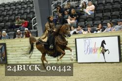 24BUCK_00442 thumbnail