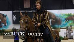 24BUCK_00447 thumbnail