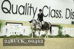 24BUCK_00462 thumbnail