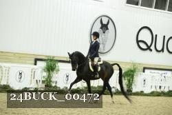 24BUCK_00472 thumbnail