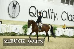 24BUCK_00473 thumbnail