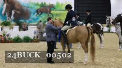 24BUCK_00502 thumbnail