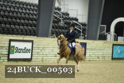24BUCK_00503 thumbnail
