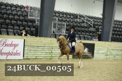 24BUCK_00505 thumbnail