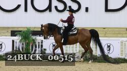 24BUCK_00515 thumbnail