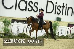 24BUCK_00517 thumbnail