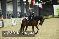 24BUCK_00524 thumbnail