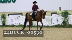 24BUCK_00530 thumbnail