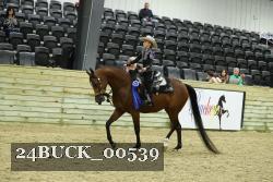 24BUCK_00539 thumbnail