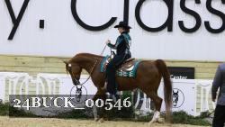 24BUCK_00546 thumbnail