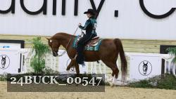 24BUCK_00547 thumbnail