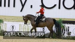 24BUCK_00549 thumbnail