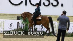 24BUCK_00550 thumbnail