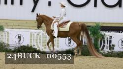 24BUCK_00553 thumbnail