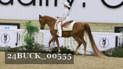 24BUCK_00555 thumbnail