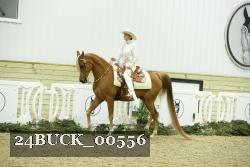 24BUCK_00556 thumbnail