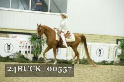 24BUCK_00557 thumbnail