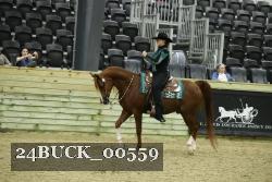 24BUCK_00559 thumbnail