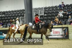 24BUCK_00562 thumbnail