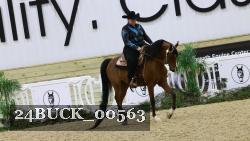 24BUCK_00563 thumbnail
