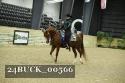 24BUCK_00566 thumbnail