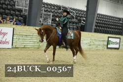 24BUCK_00567 thumbnail