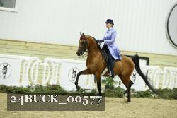 24BUCK_00577 thumbnail