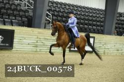 24BUCK_00578 thumbnail