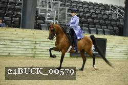 24BUCK_00579 thumbnail