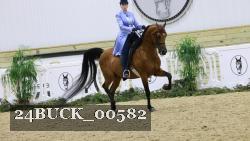 24BUCK_00582 thumbnail