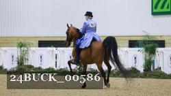 24BUCK_00586 thumbnail